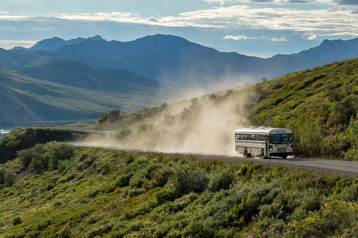 Things to Do in Denali National Park (Wilderness Exploration)